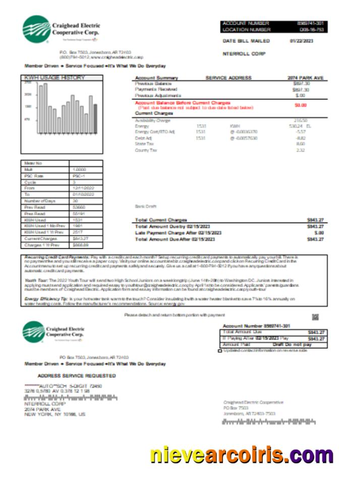 Craighead Electric Cooperative utility business bill